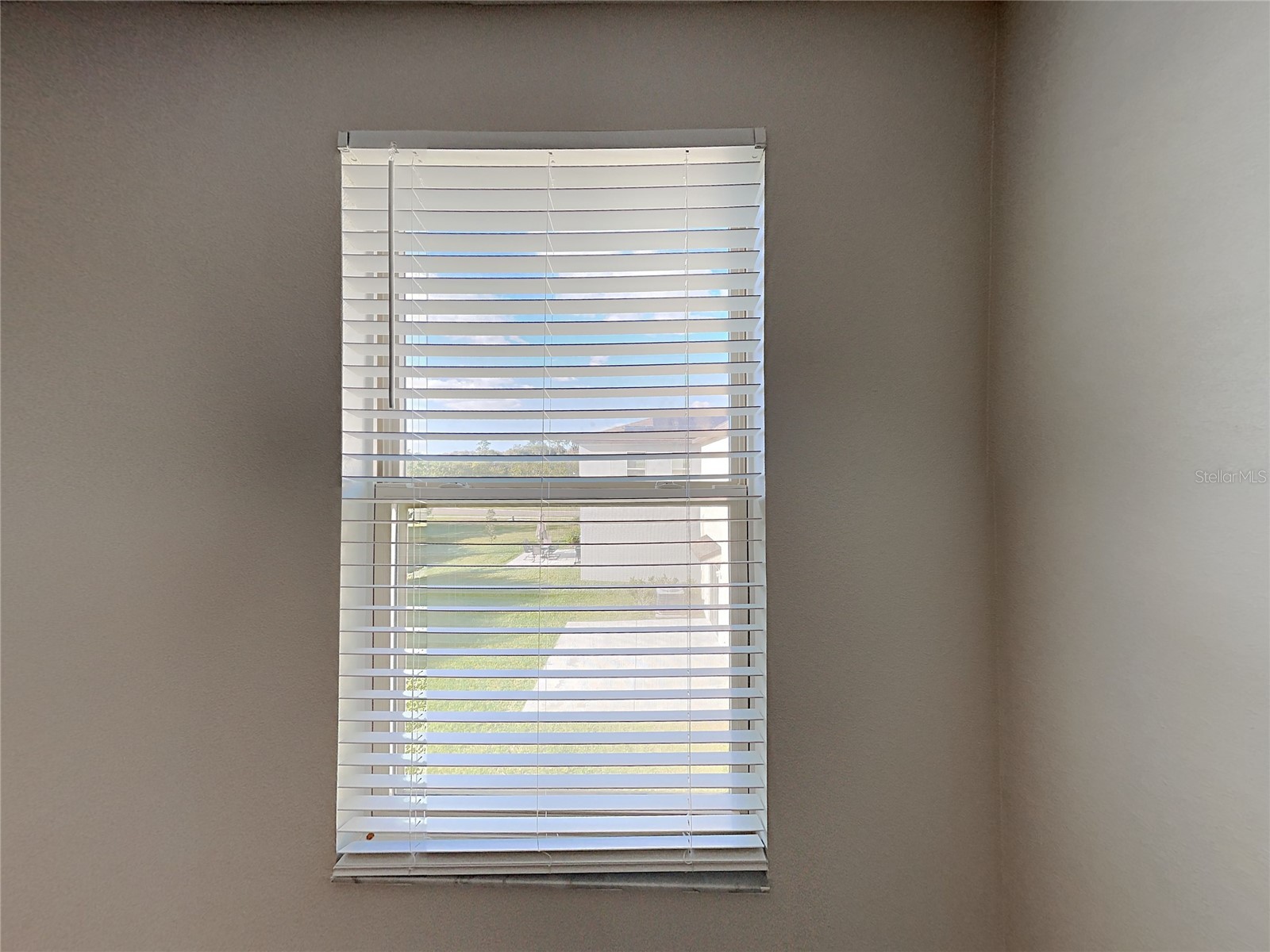 15320 Broad Brush Drive Ruskin FL 33573 C7523281 image18