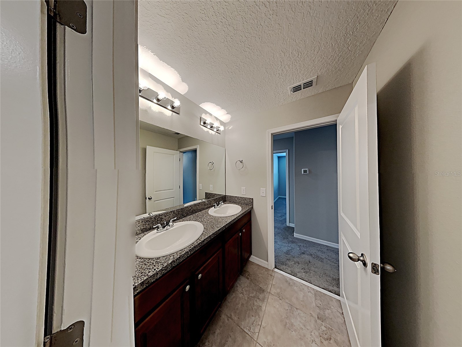 15320 Broad Brush Drive Ruskin FL 33573 C7523281 image22