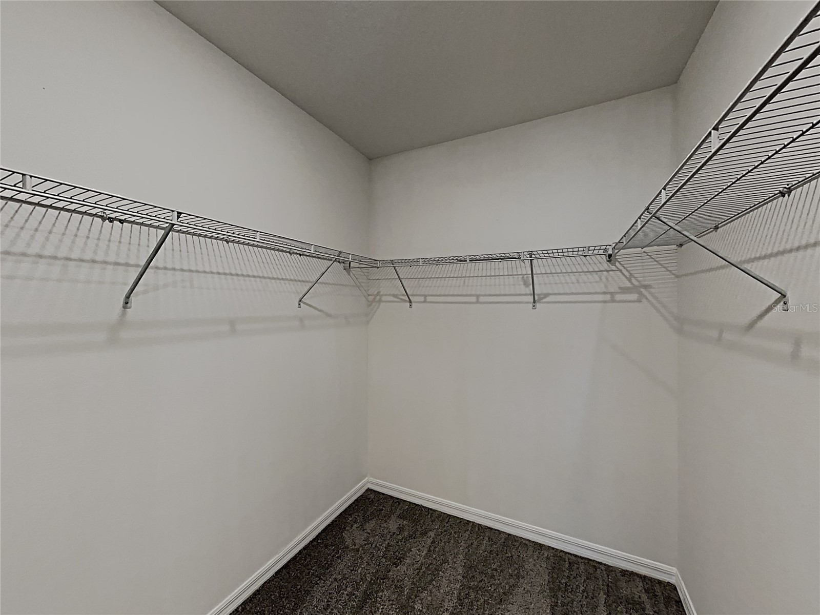 15320 Broad Brush Drive Ruskin FL 33573 C7523281 image25