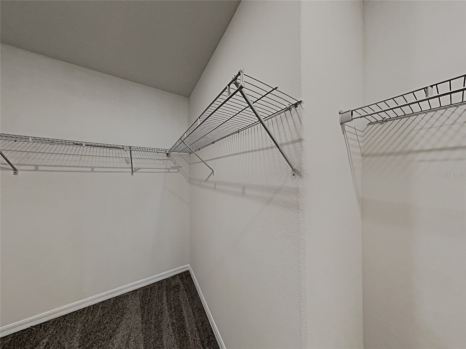 15320 Broad Brush Drive Ruskin FL 33573 C7523281 image26