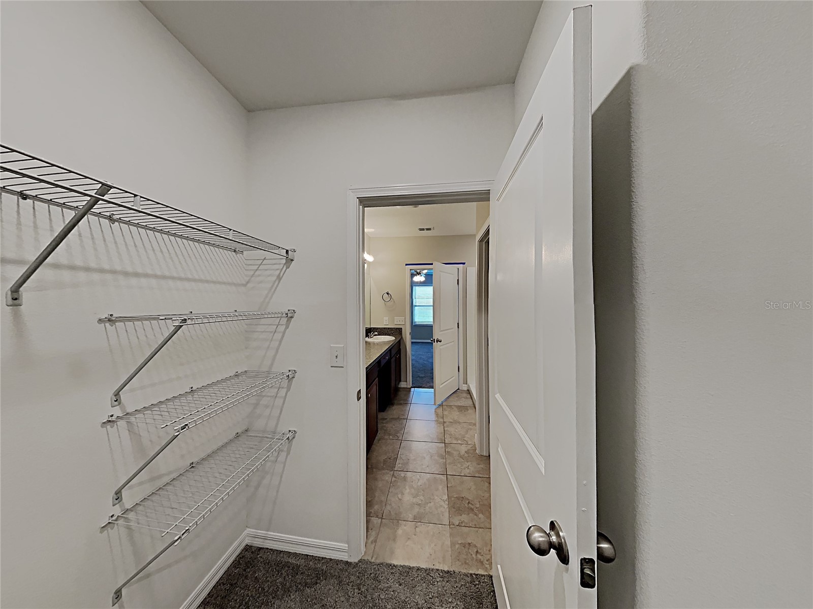 15320 Broad Brush Drive Ruskin FL 33573 C7523281 image27