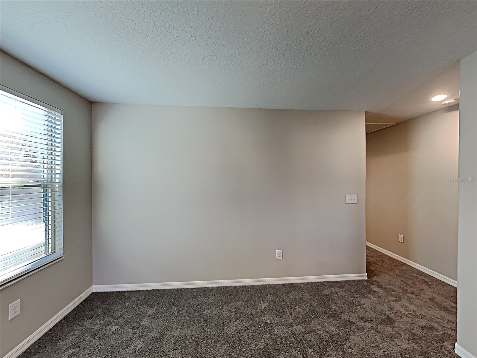 15320 Broad Brush Drive Ruskin FL 33573 C7523281 image30