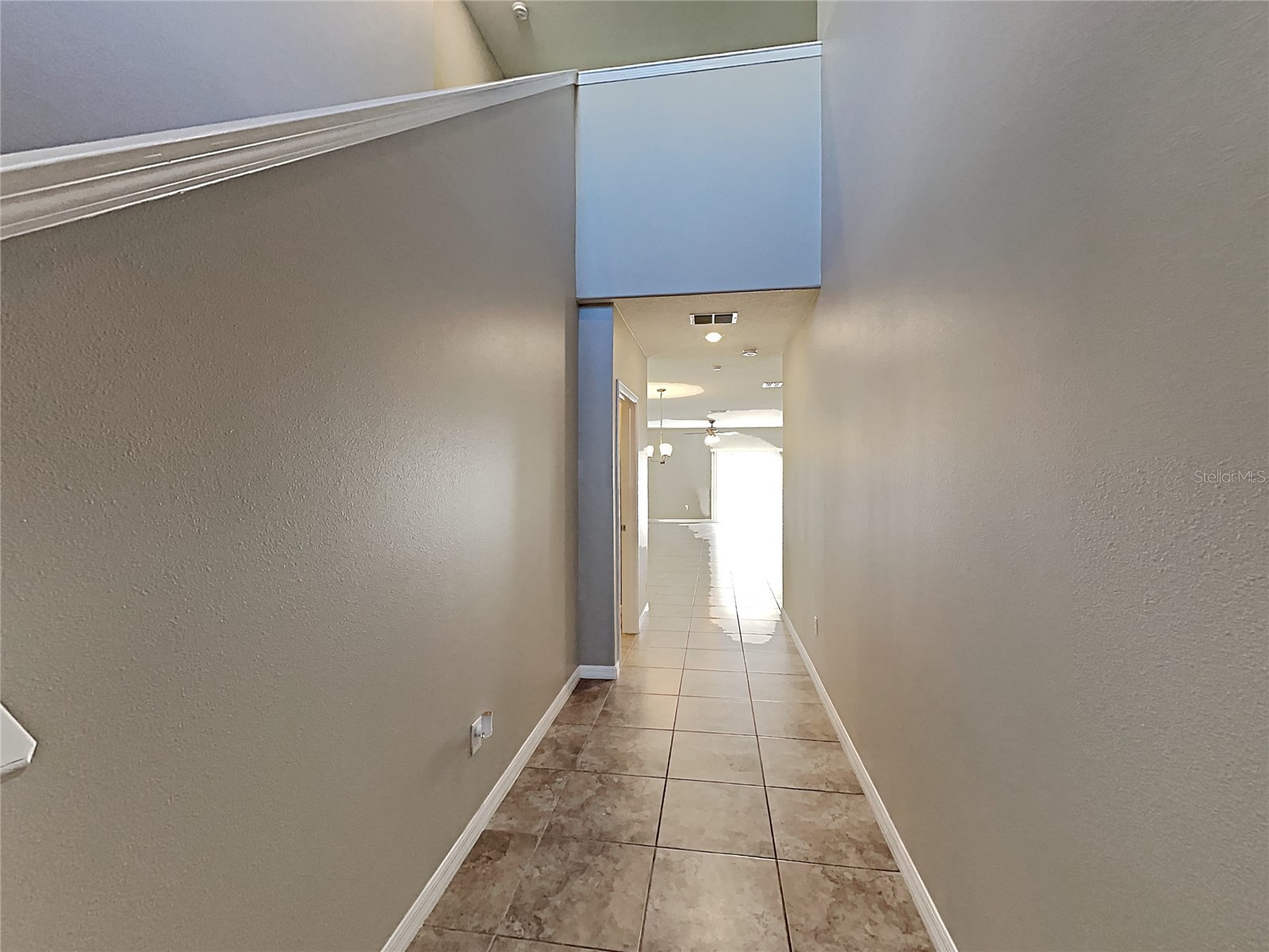 15320 Broad Brush Drive Ruskin FL 33573 C7523281 image41