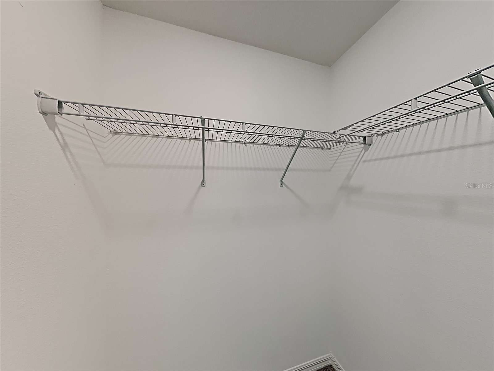 15320 Broad Brush Drive Ruskin FL 33573 C7523281 image42