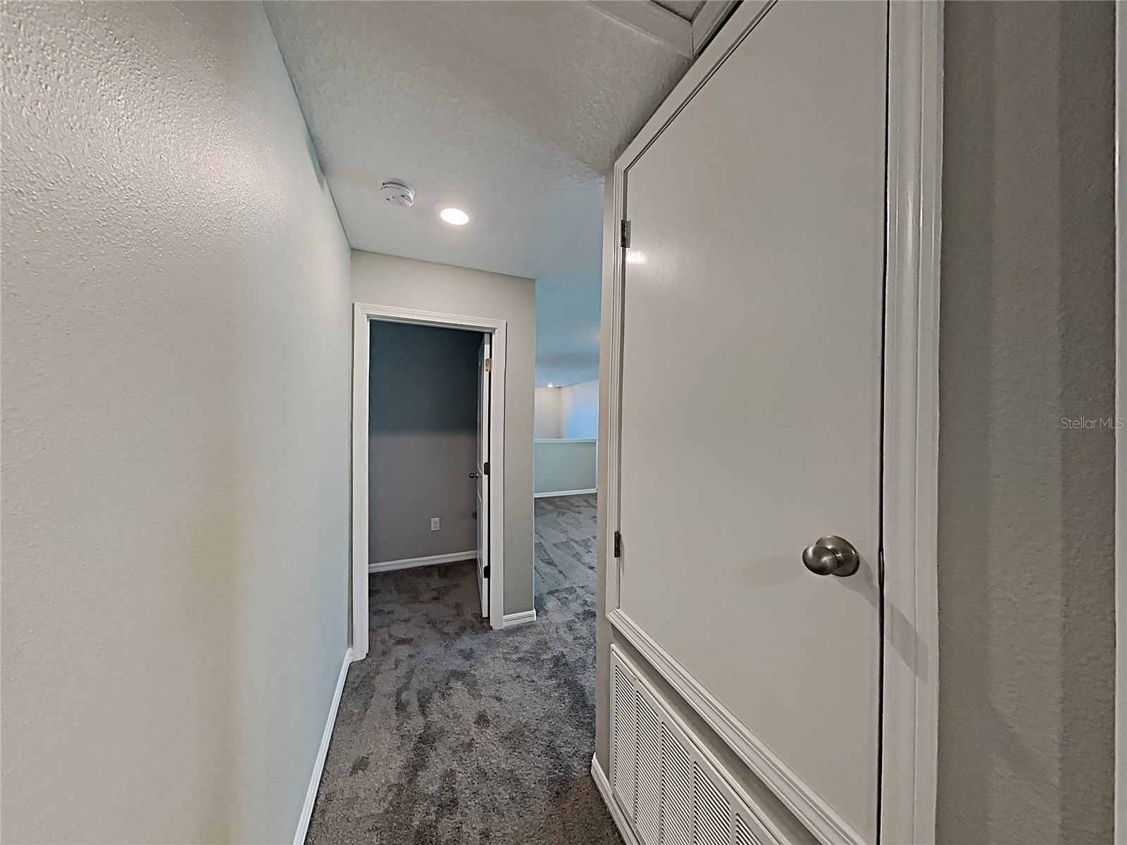15320 Broad Brush Drive Ruskin FL 33573 C7523281 image47