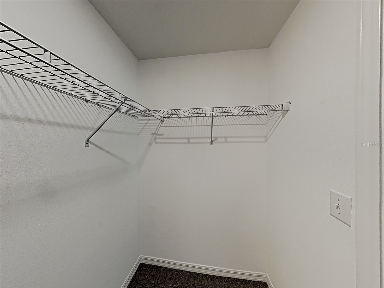 15320 Broad Brush Drive Ruskin FL 33573 C7523281 image48