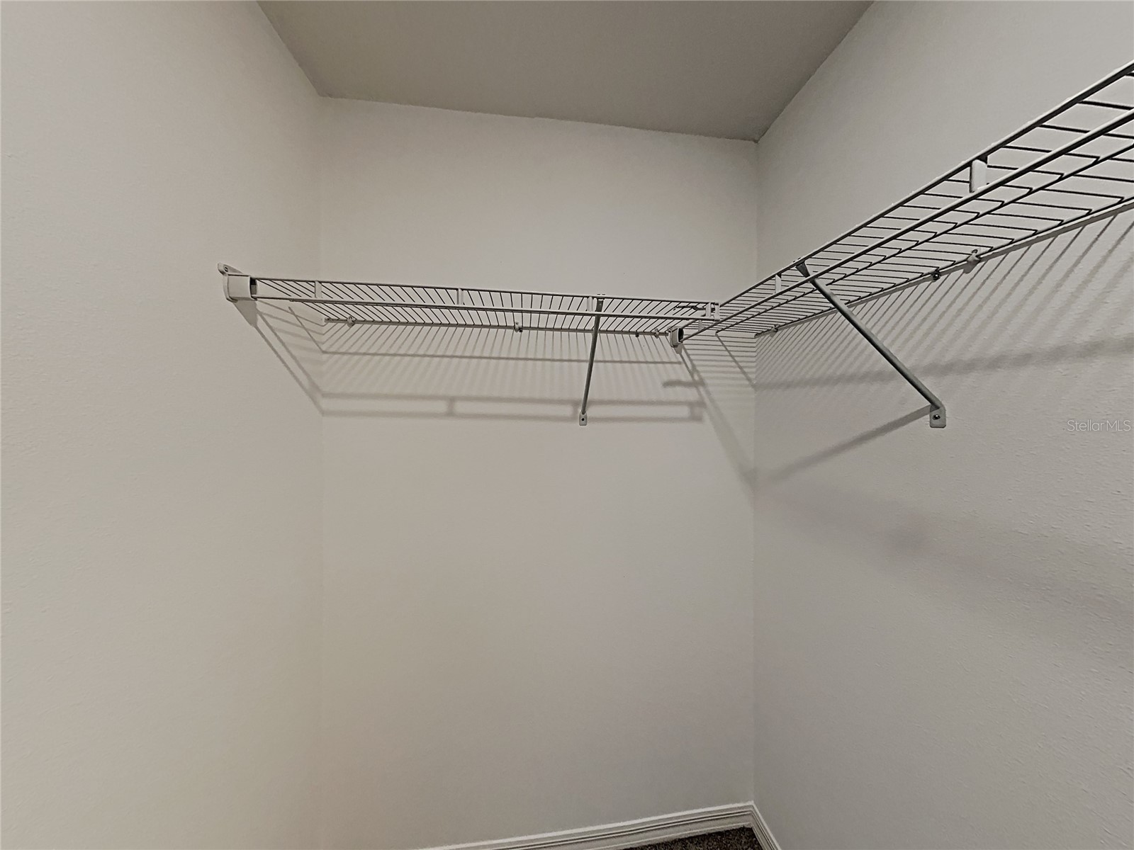 15320 Broad Brush Drive Ruskin FL 33573 C7523281 image49