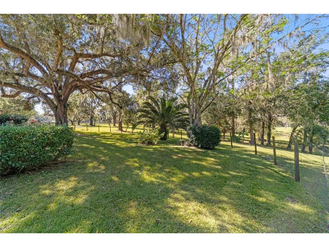 15320 NW 112 Avenue Reddick FL 32686 OM711520 image17