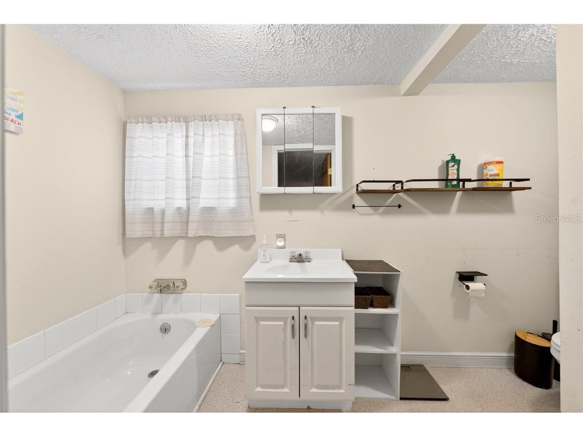 15321 NE 160th Avenue Road Salt Springs FL 32134 O6366652 image5