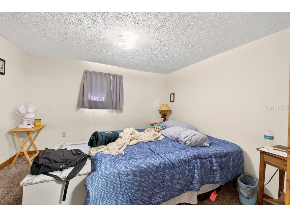 15321 NE 160th Avenue Road Salt Springs FL 32134 O6366652 image8