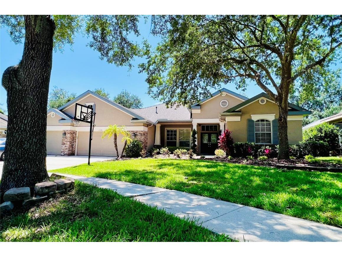 15321 Vireoglen Lane Lithia FL 33547 T3443355 image1