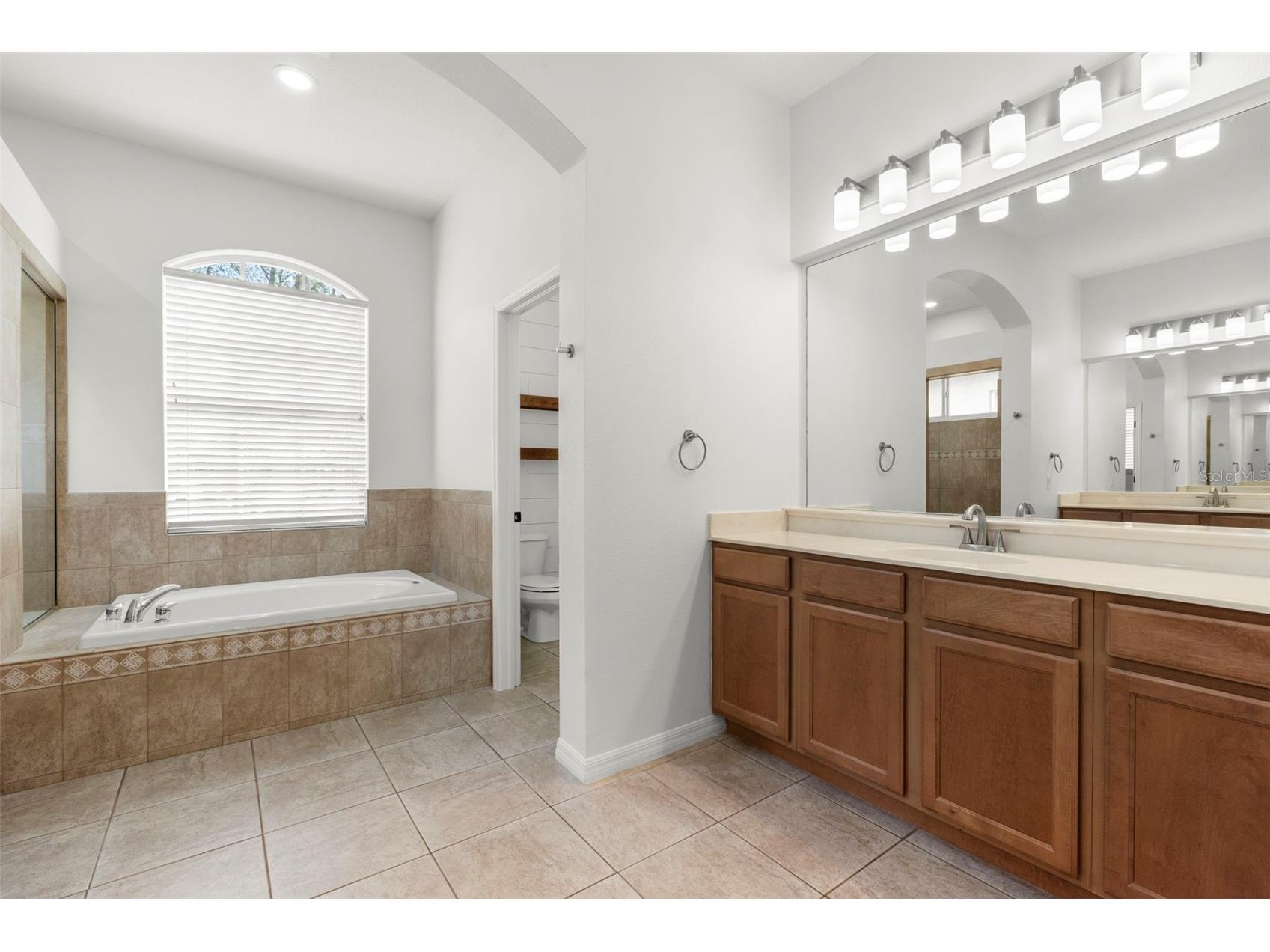 15321 Vireoglen Lane Lithia FL 33547 TB8463294 image36