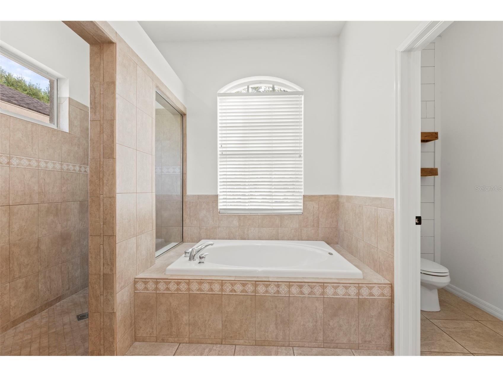 15321 Vireoglen Lane Lithia FL 33547 TB8463294 image37