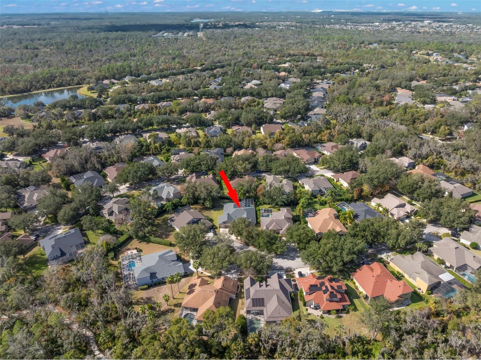 15321 Vireoglen Lane Lithia FL 33547 TB8463294 image56
