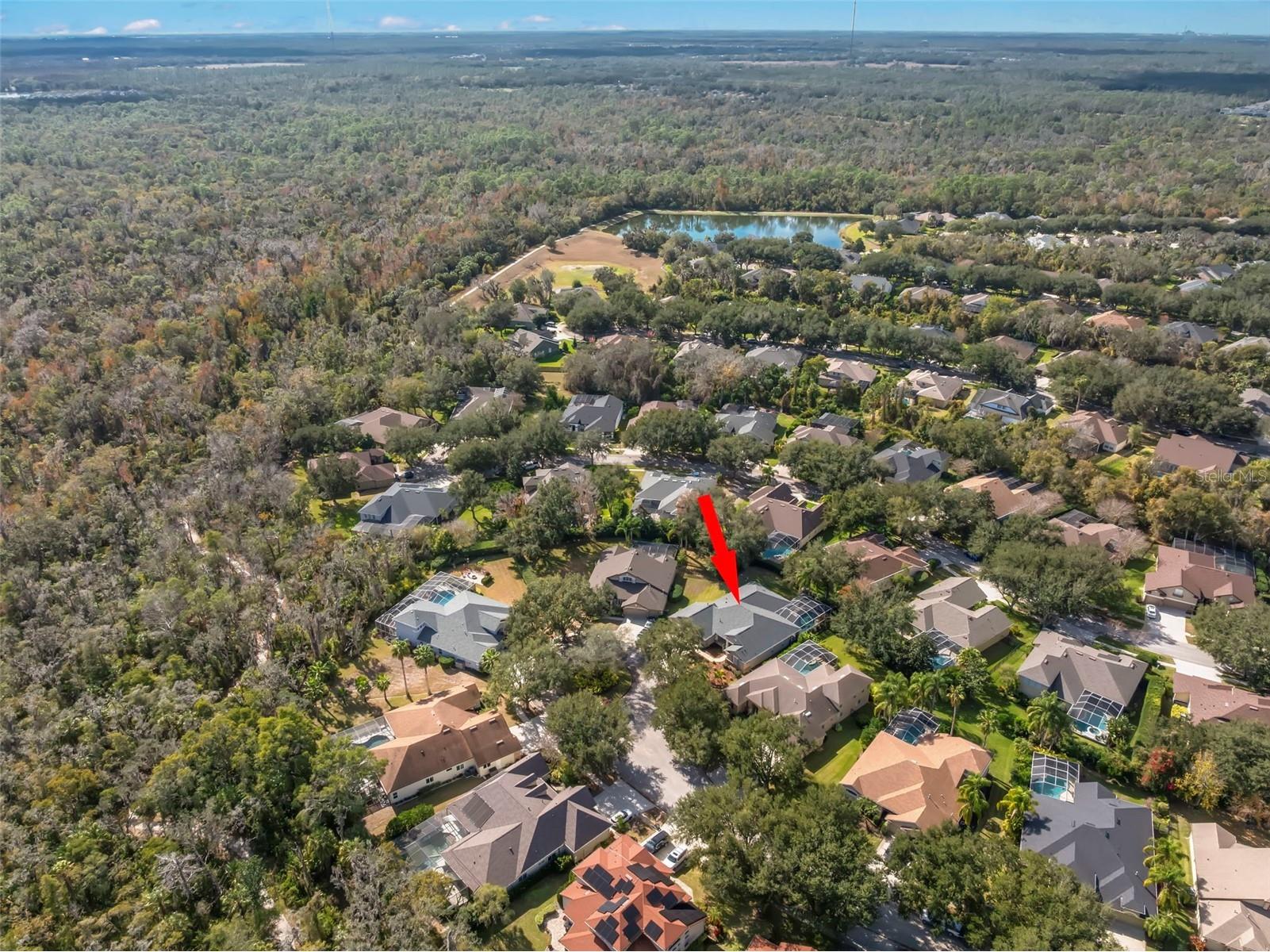 15321 Vireoglen Lane Lithia FL 33547 TB8463294 image57
