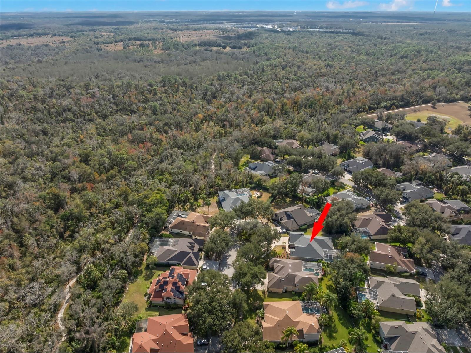 15321 Vireoglen Lane Lithia FL 33547 TB8463294 image58
