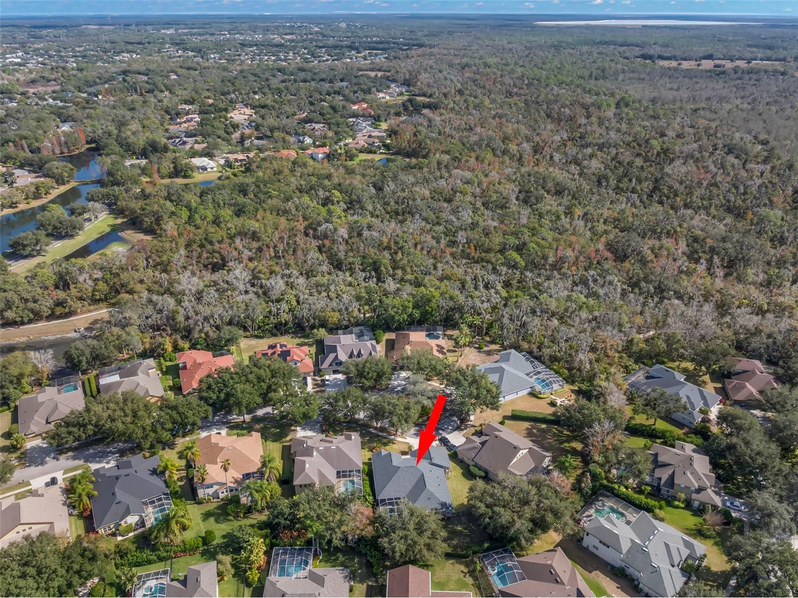 15321 Vireoglen Lane Lithia FL 33547 TB8463294 image59