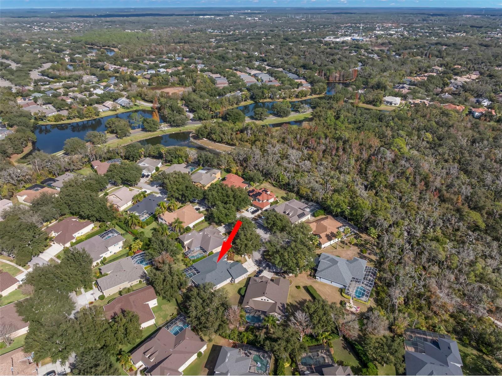 15321 Vireoglen Lane Lithia FL 33547 TB8463294 image60
