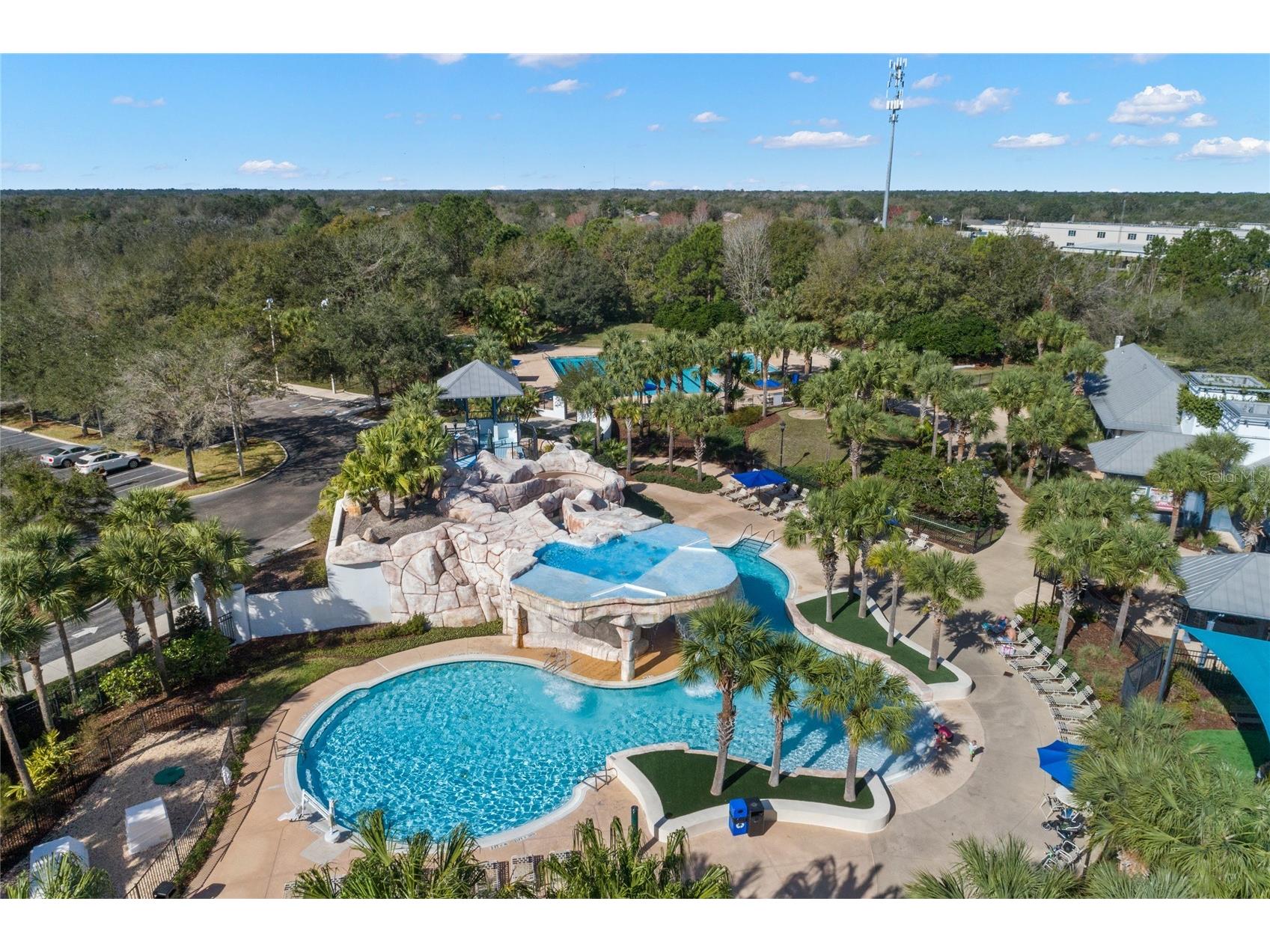 15321 Vireoglen Lane Lithia FL 33547 TB8463294 image66