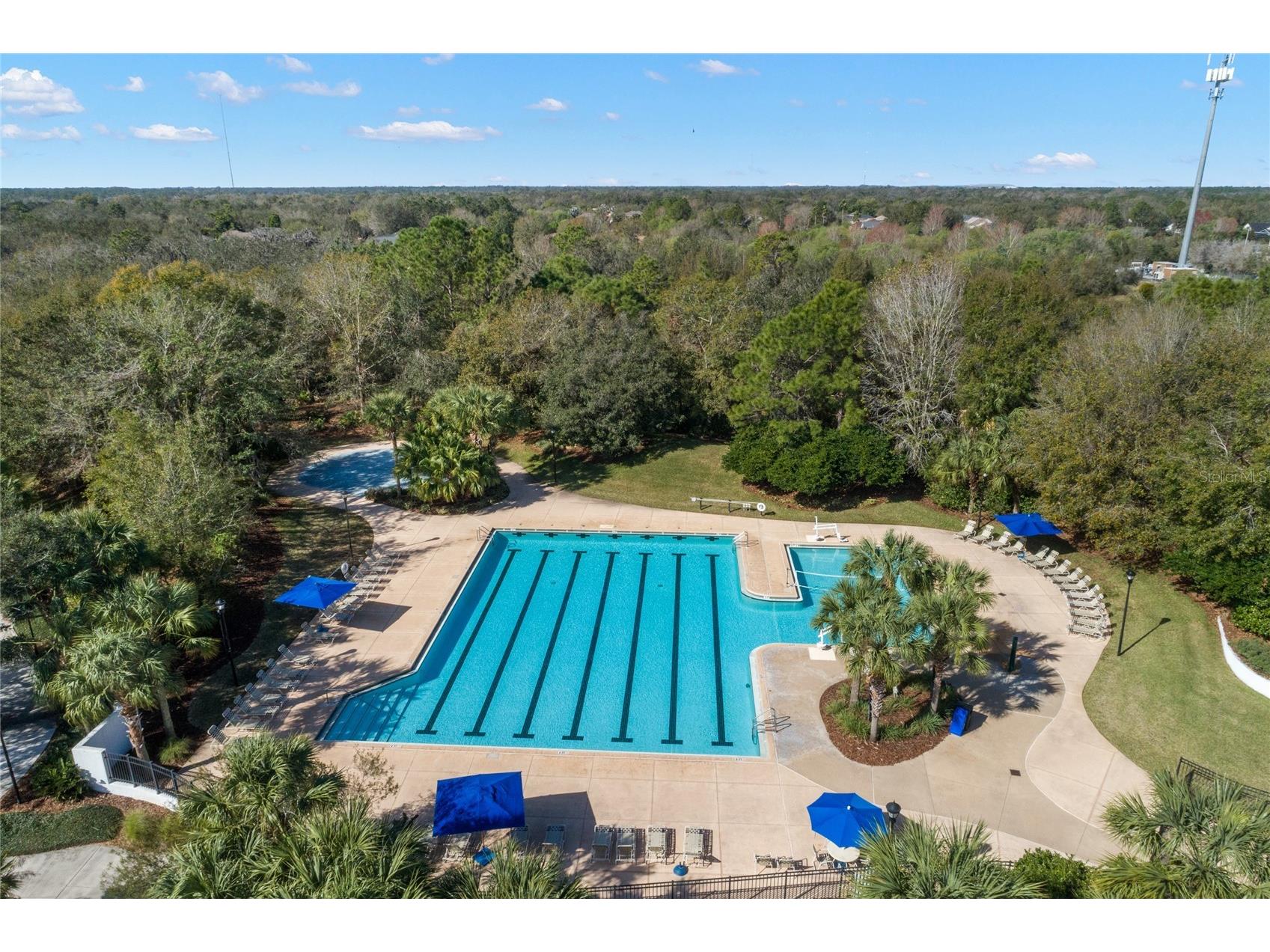15321 Vireoglen Lane Lithia FL 33547 TB8463294 image67
