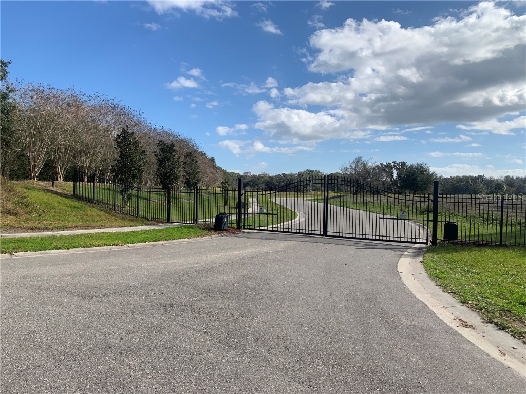 15322 Fishhawk Heights Run Lithia FL 33547 T3495789 image1