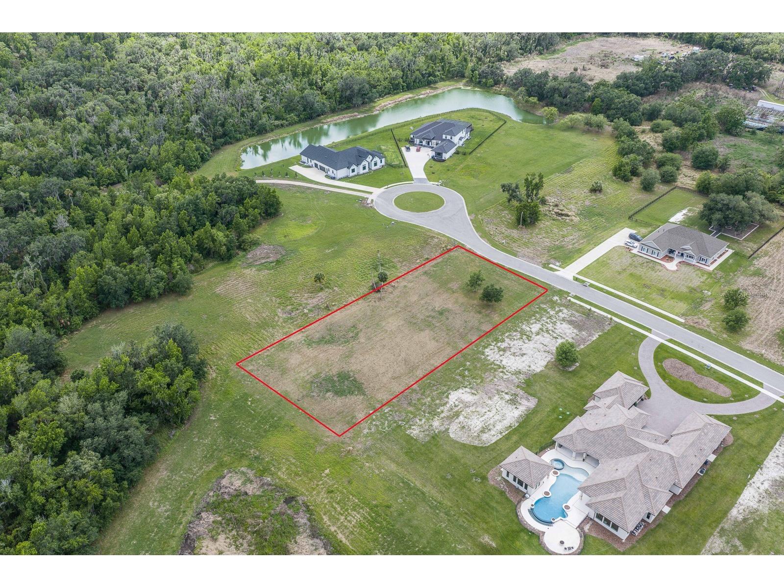 15322 Fishhawk Heights Run Lithia FL 33547 TB8494875 image4