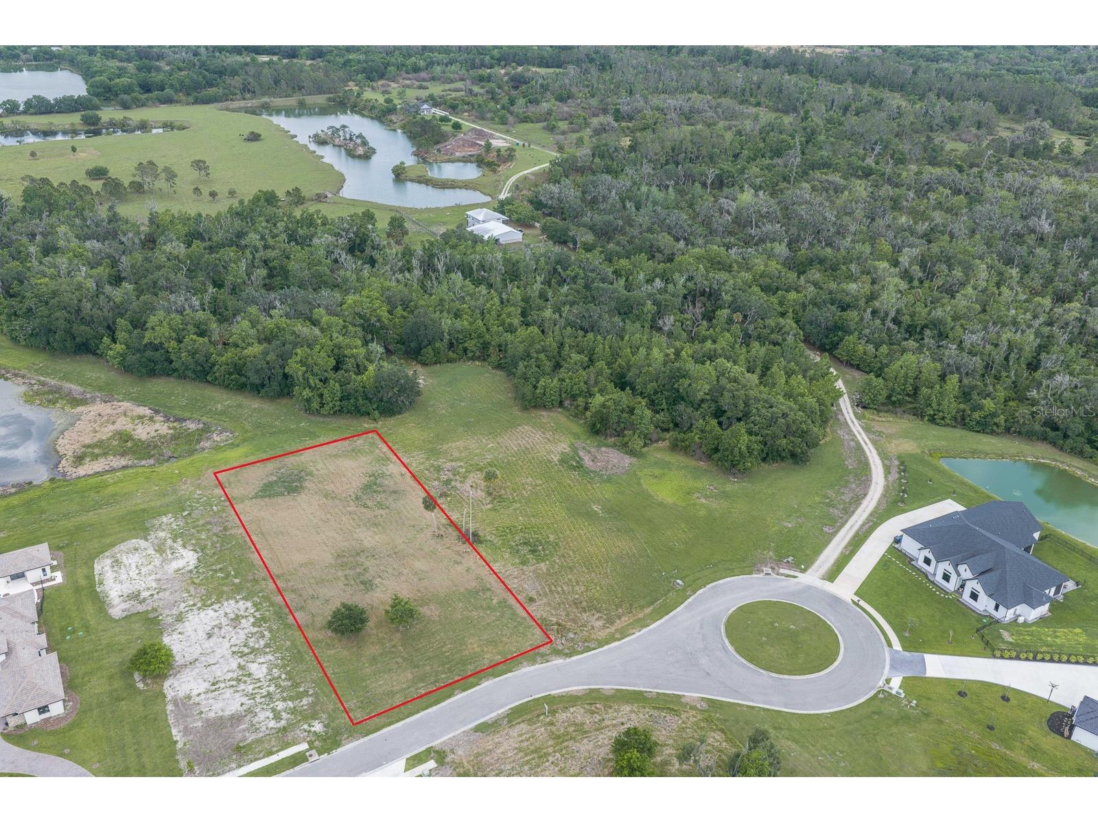 15322 Fishhawk Heights Run Lithia FL 33547 TB8494875 image7