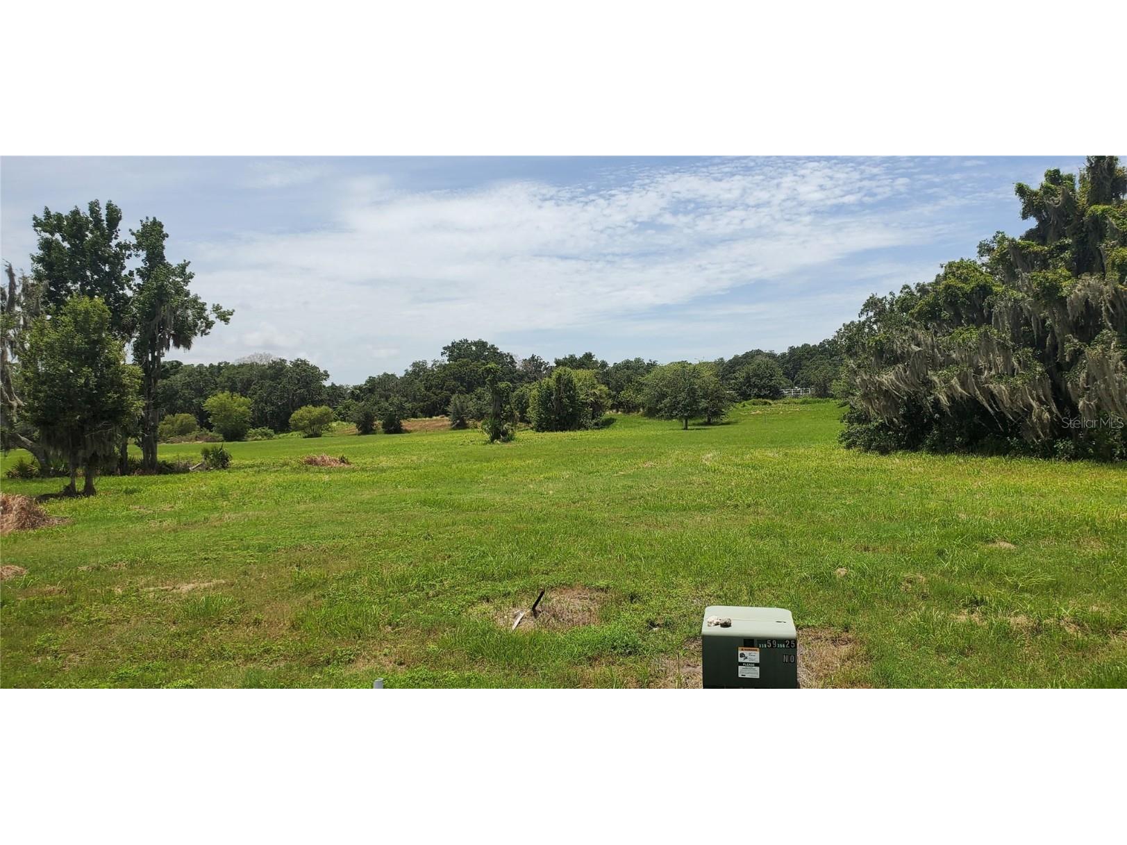 15323 Fishhawk Heights Run Lithia FL 33547 T3309732 image1