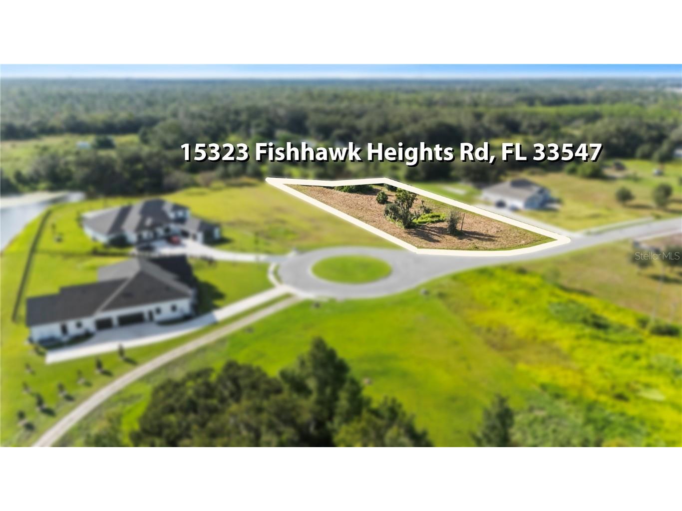 15323 Fishhawk Heights Run Lithia FL 33547 TB8443102 image3