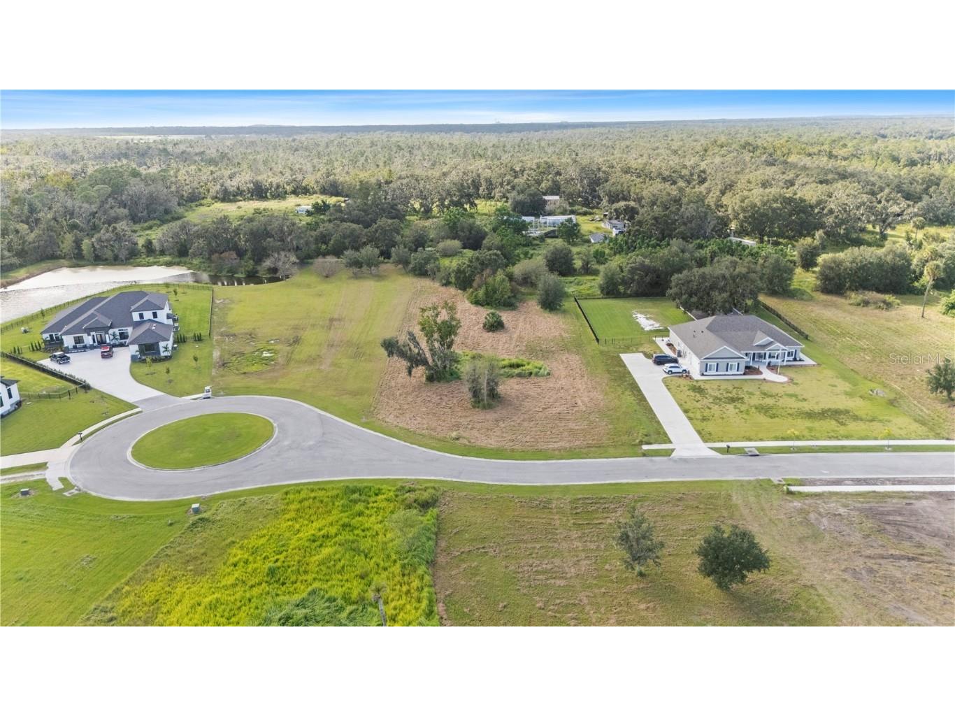 15323 Fishhawk Heights Run Lithia FL 33547 TB8443102 image4