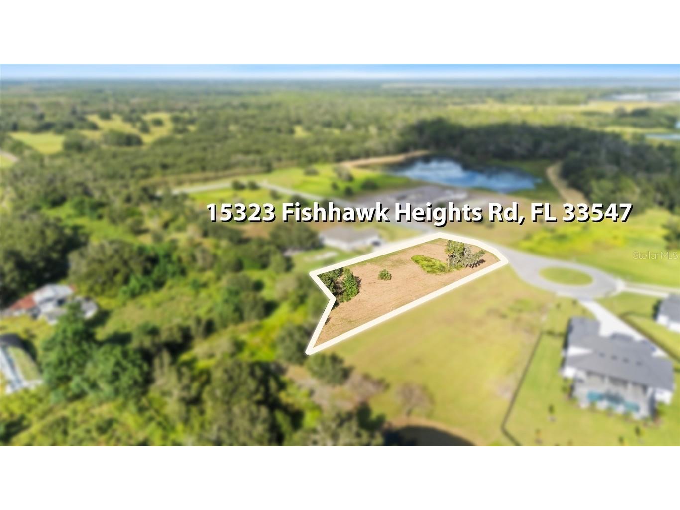 15323 Fishhawk Heights Run Lithia FL 33547 TB8443102 image5