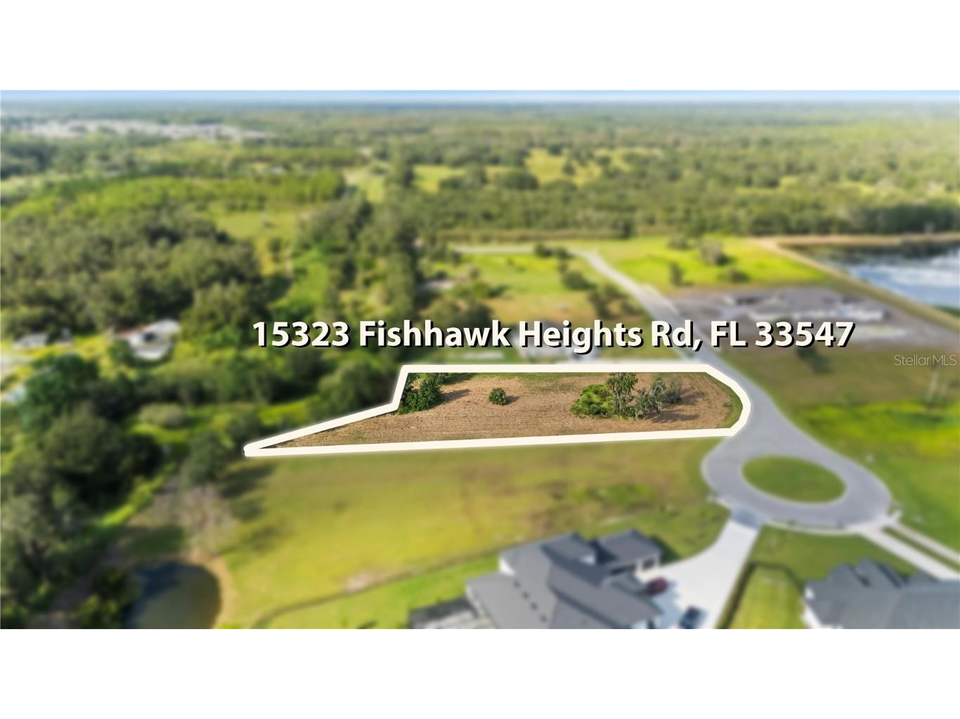 15323 Fishhawk Heights Run Lithia FL 33547 TB8443102 image6