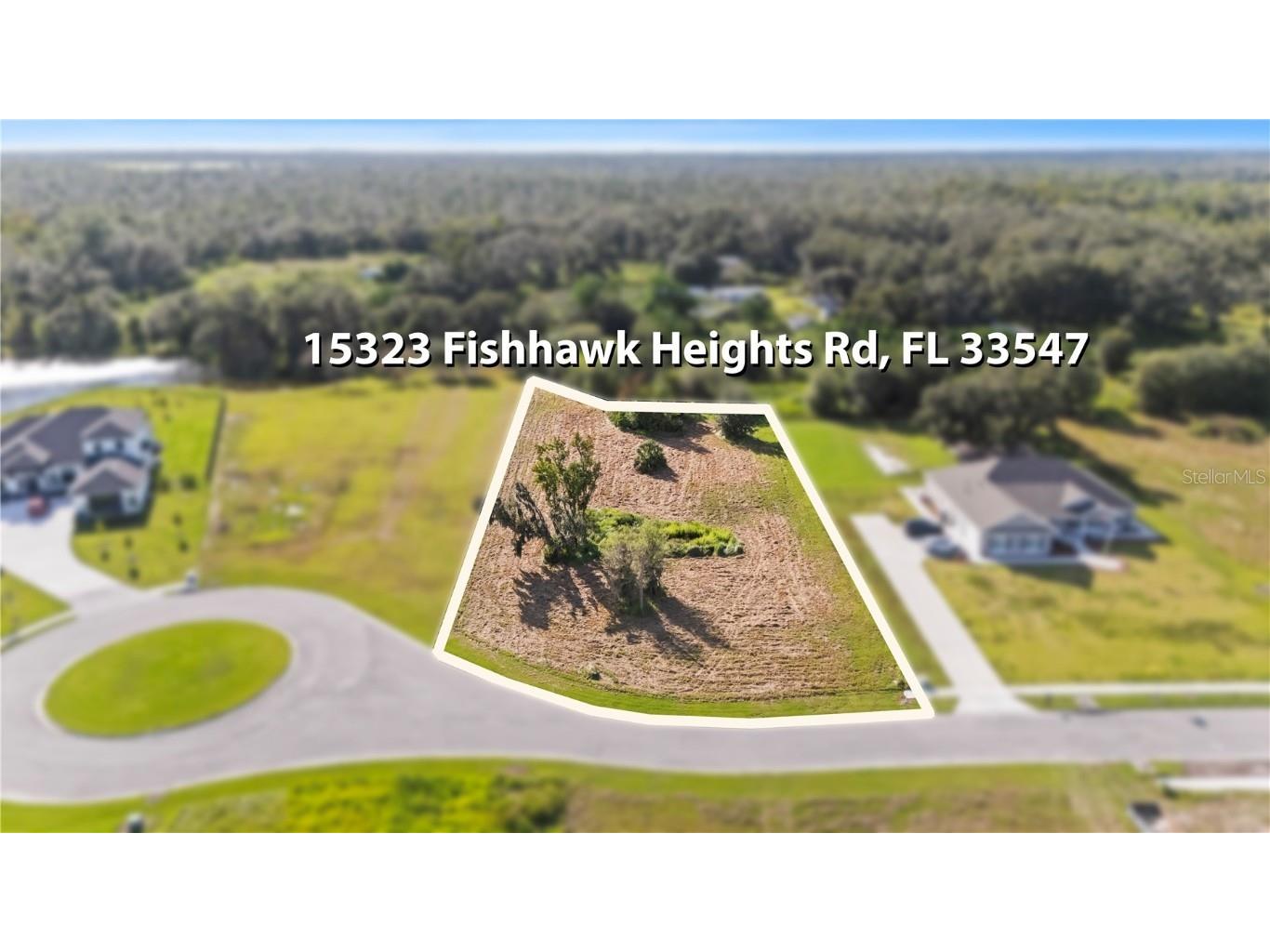 15323 Fishhawk Heights Run Lithia FL 33547 TB8443102 image7