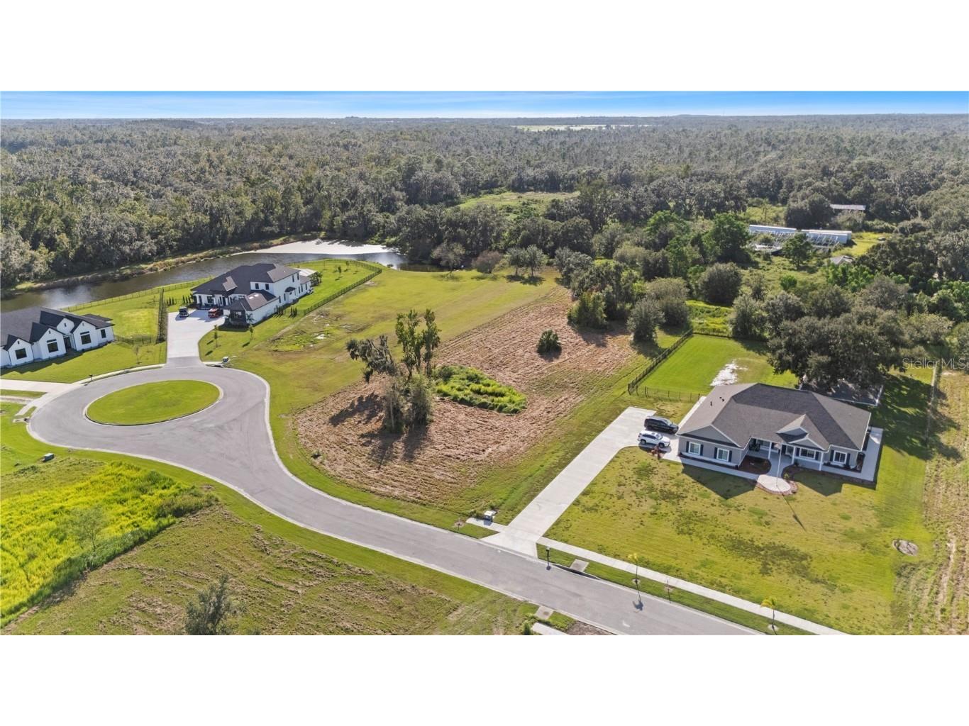 15323 Fishhawk Heights Run Lithia FL 33547 TB8443102 image8