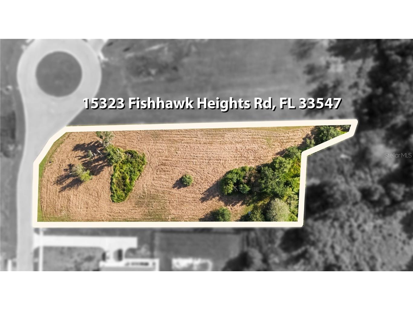 15323 Fishhawk Heights Run Lithia FL 33547 TB8443102 image9