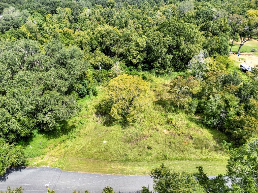 15325 Trousdale Street Clermont FL 34715 O6341770 image20