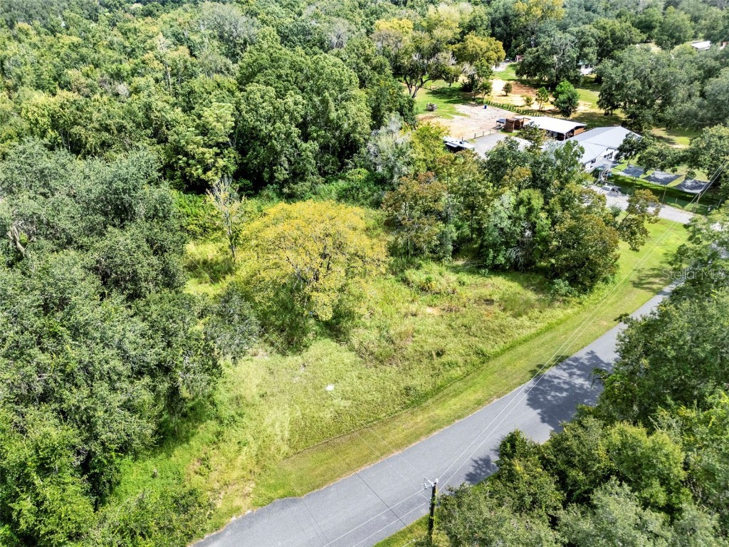15325 Trousdale Street Clermont FL 34715 O6341770 image21