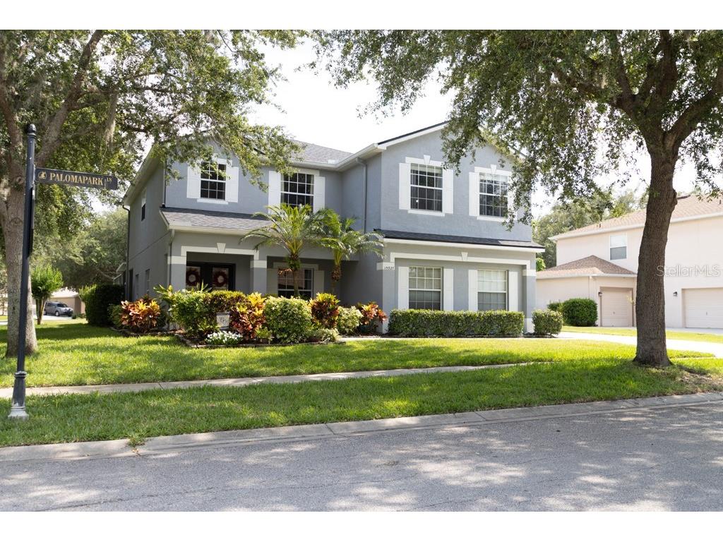 15327 Palomapark Lane Lithia FL 33547 T3526610 image1