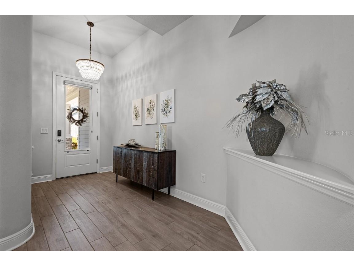 15329 Renaissance Avenue Odessa FL 33556 TB8375590 image11