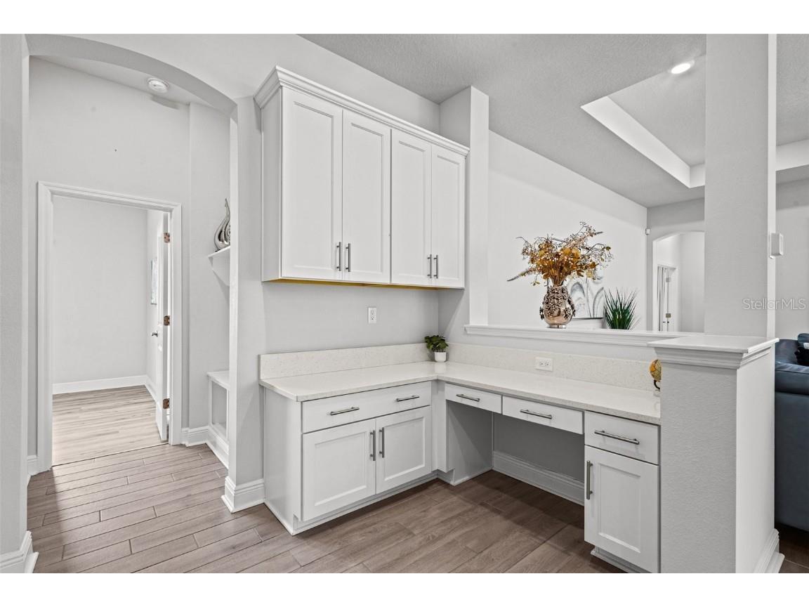 15329 Renaissance Avenue Odessa FL 33556 TB8375590 image15