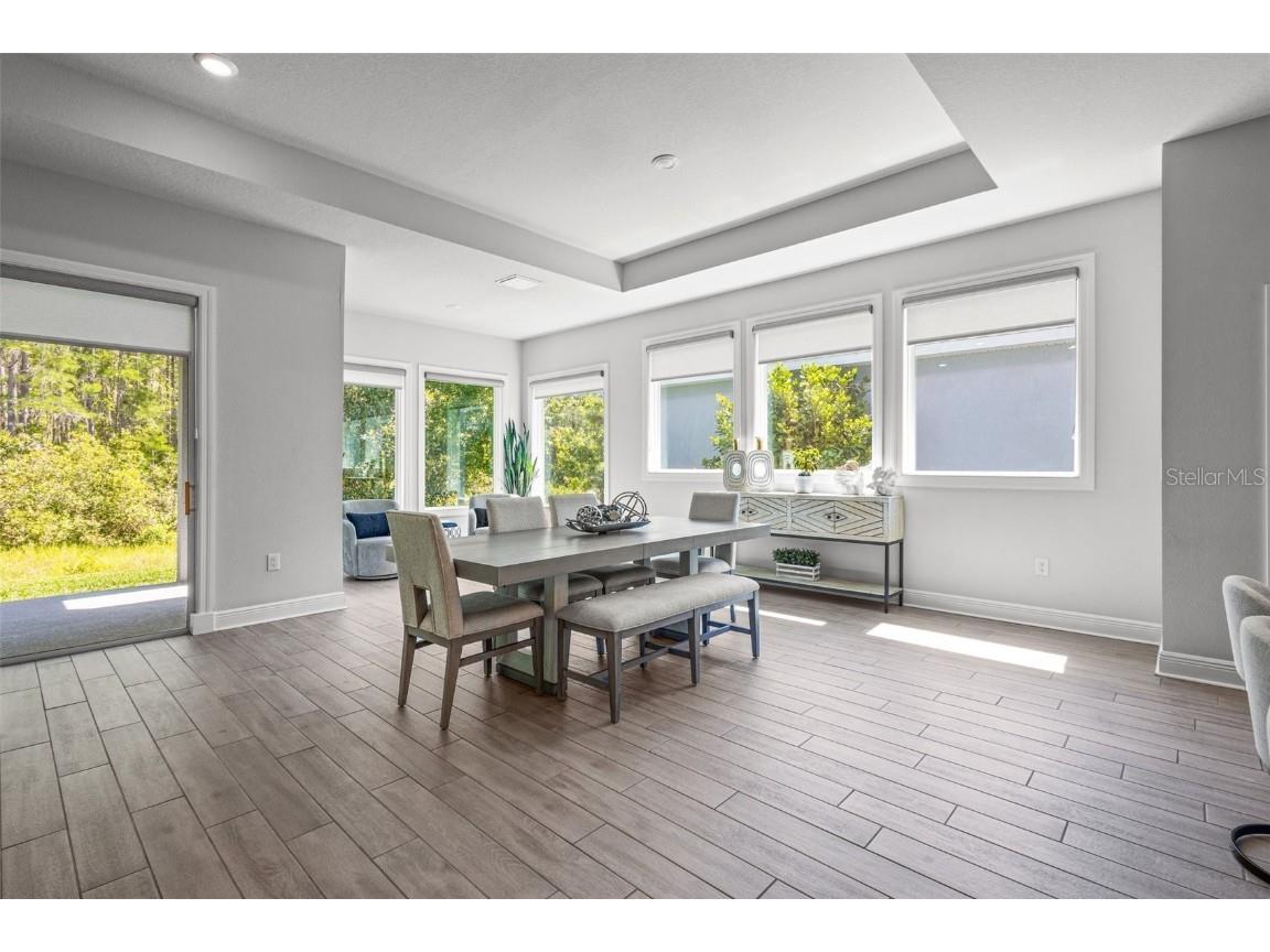 15329 Renaissance Avenue Odessa FL 33556 TB8375590 image17