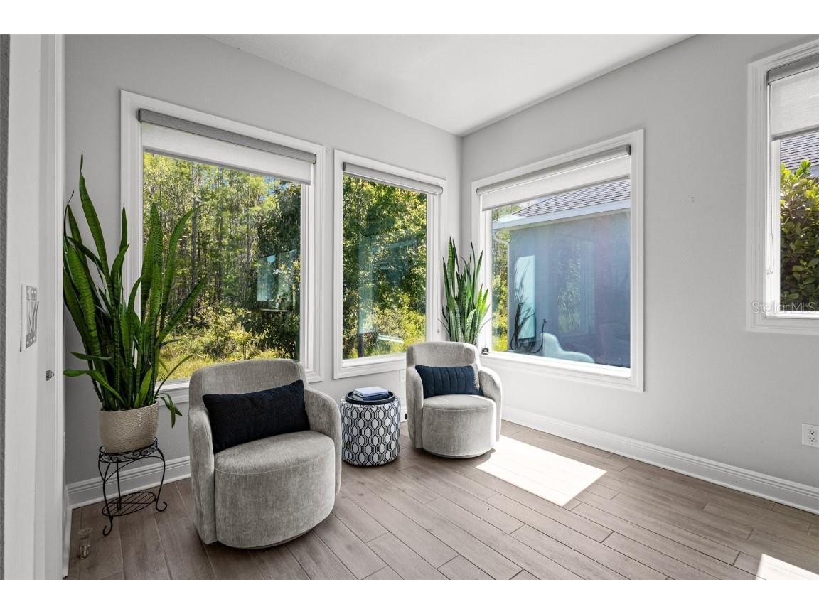 15329 Renaissance Avenue Odessa FL 33556 TB8375590 image18