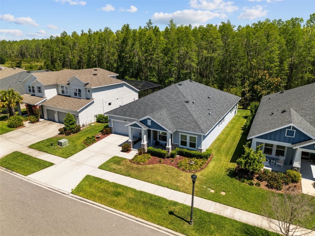 15329 Renaissance Avenue Odessa FL 33556 TB8375590 image2