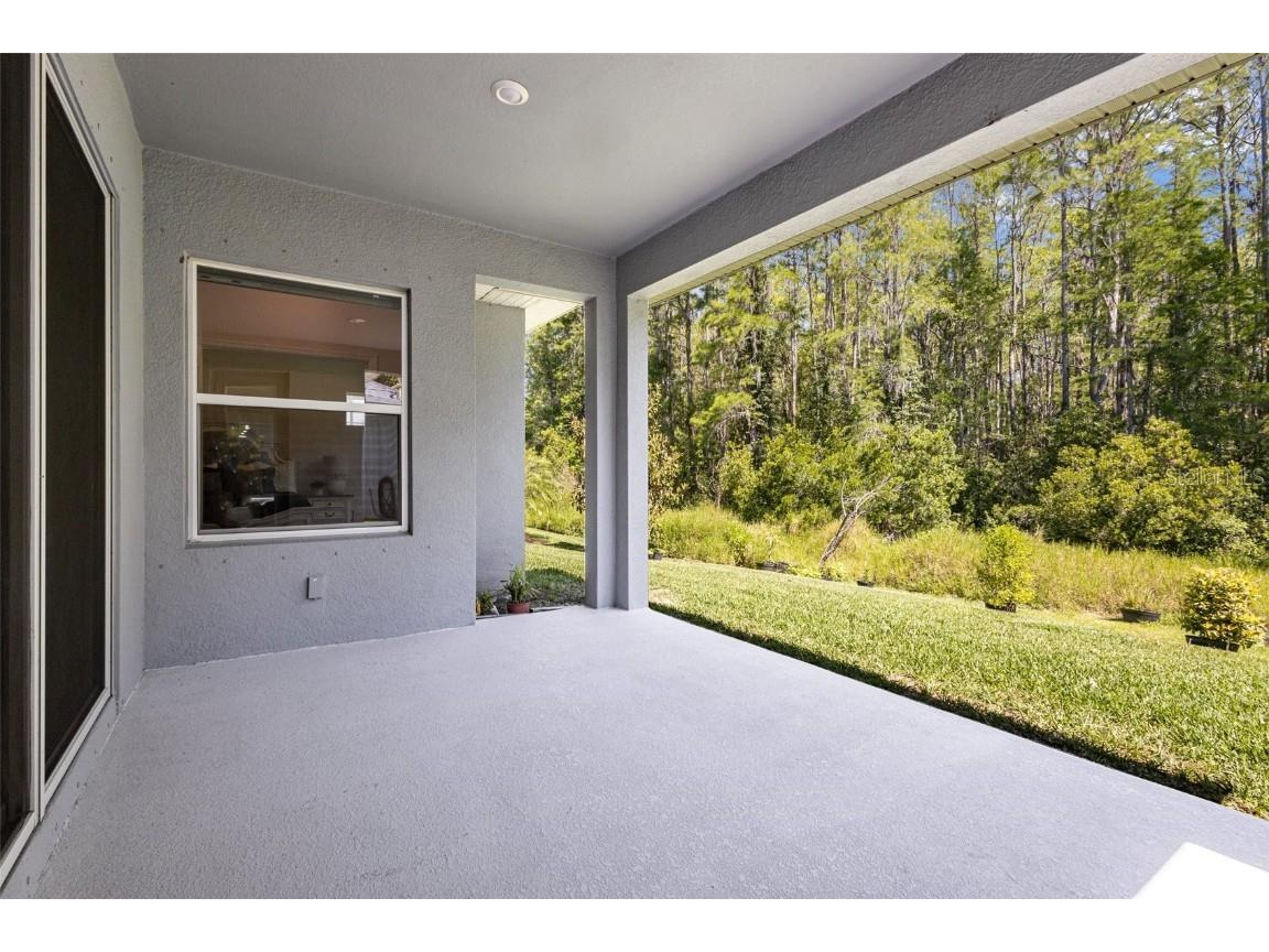 15329 Renaissance Avenue Odessa FL 33556 TB8375590 image24