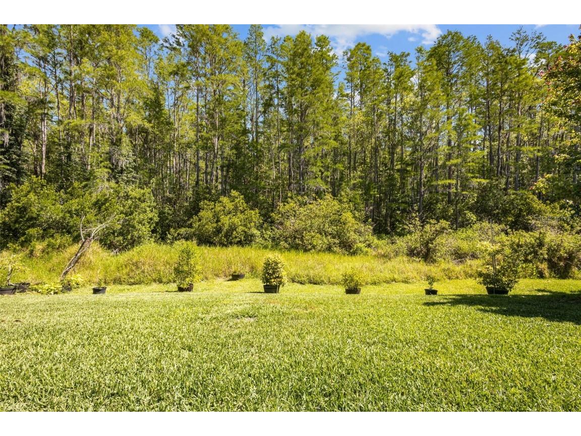 15329 Renaissance Avenue Odessa FL 33556 TB8375590 image25