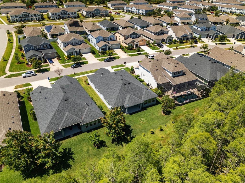 15329 Renaissance Avenue Odessa FL 33556 TB8375590 image36