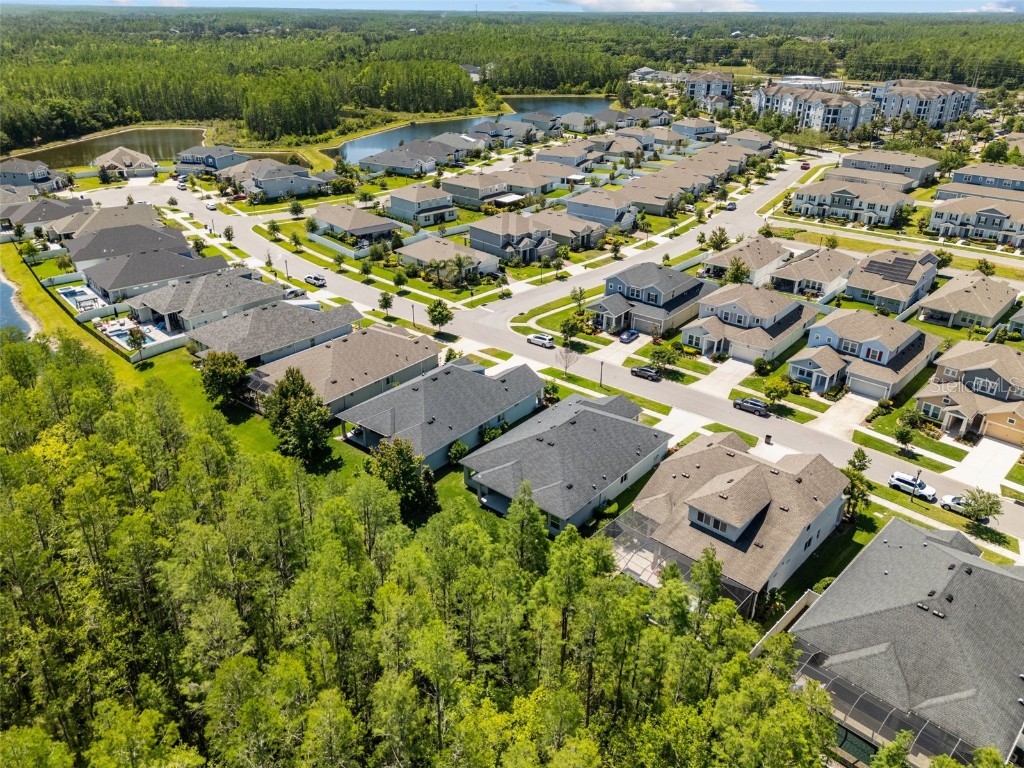 15329 Renaissance Avenue Odessa FL 33556 TB8375590 image37