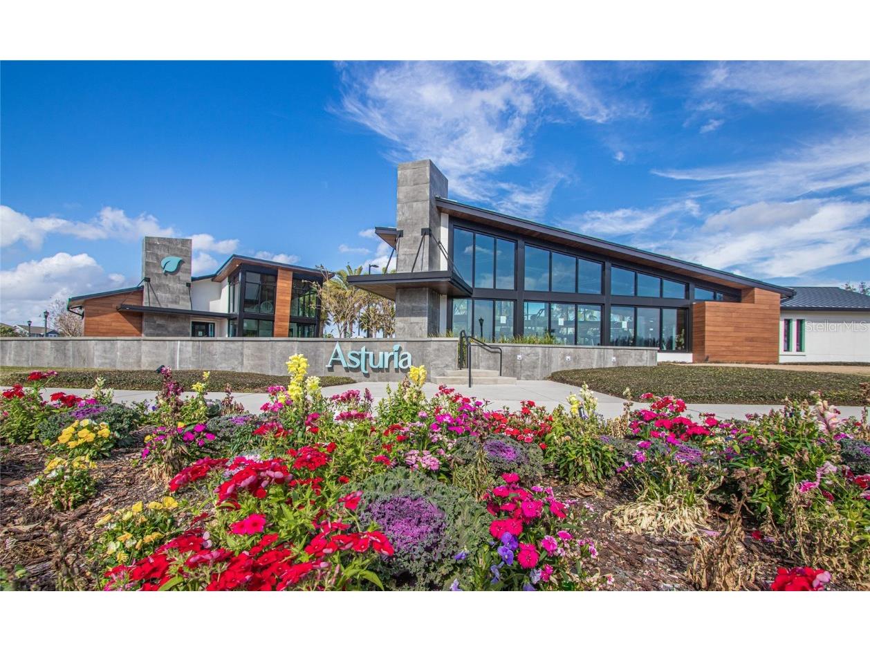 15329 Renaissance Avenue Odessa FL 33556 TB8375590 image39