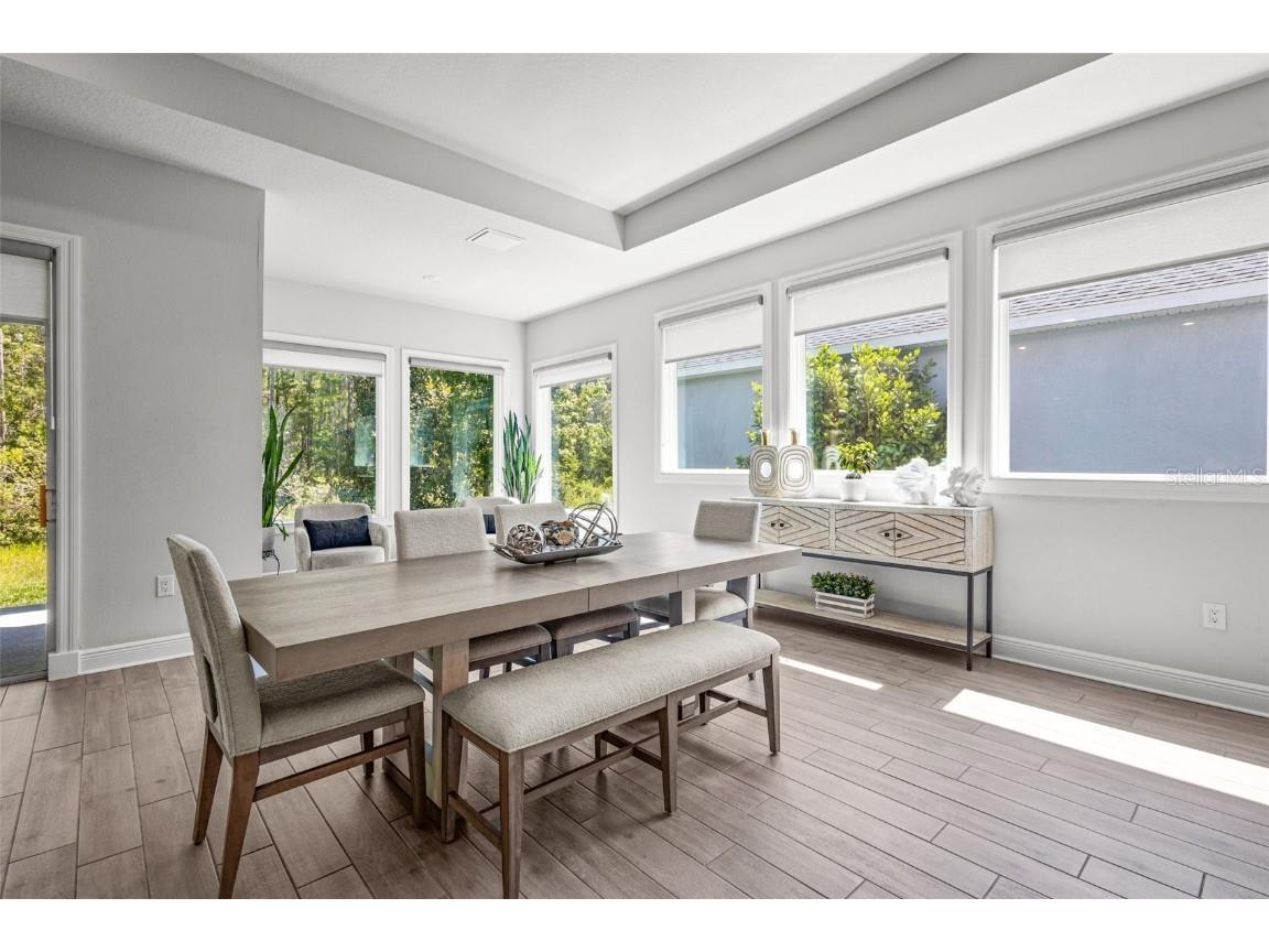 15329 Renaissance Avenue Odessa FL 33556 TB8375590 image5