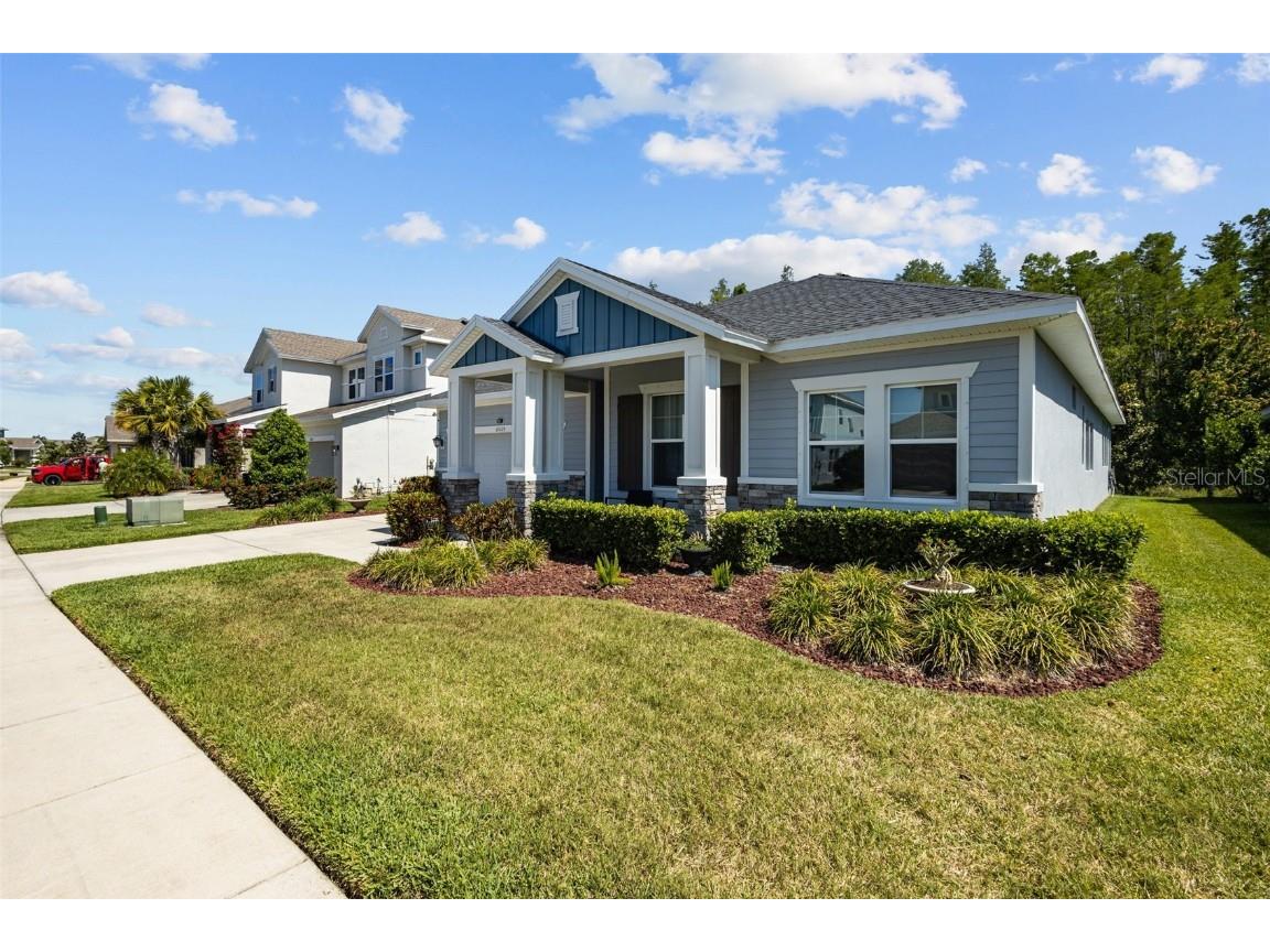 15329 Renaissance Avenue Odessa FL 33556 TB8375590 image53